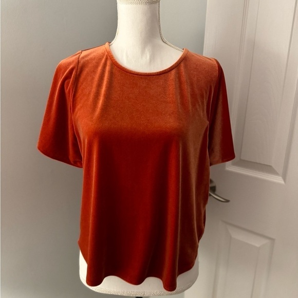 Madewell Top Crushed Velvet Velour Flutter Sleeves Orange Rust Color Size M - Picture 1 of 12